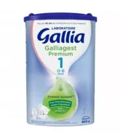 Gallia Galliagest Premium 1 Lait En Poudre B/800g à Sassenage